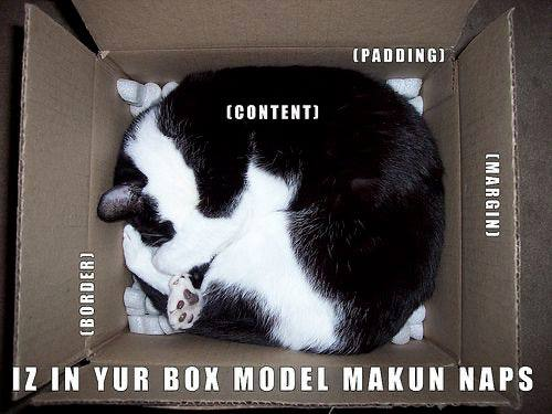 box-model.png